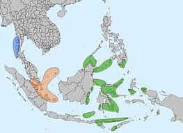 Afrikaans čeština dansk deutsch ελληνικά english english (uk) español (españa) español suomi français bahasa indonesia italiano 日本語 한국어 bahasa melayu norsk nederlands polski português (brasil) português. Orang Laut Wikipedia