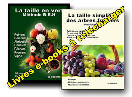 Actualites Latailledesarbresfruitiers Fr Arbre Fruitier Taille Arbre Fruitier Fruitier