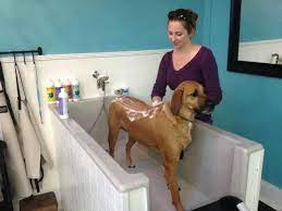 Pin By Rachel Eaton On Dream Homes Spaces Dog Tub Dog Bath Dog Shower