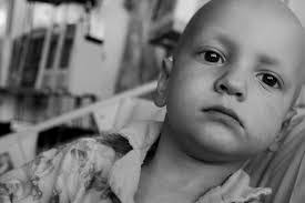 Teddy Greer's Instagram, Twitter & Facebook