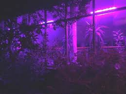 Black And Purple Room Aesthetic Beauty Scenery Sunset Background Header Grunge Tumblr Cute Fashion Black Quotes Tumblrgirl Pastel Pastelg Pink Asthetik Lila Asthetik Lila Nebel