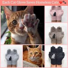 Hello Paw Cat Gloves Cats Mama Cat Cat Shelter