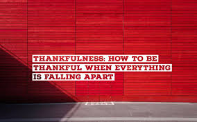 Late Life Pregnancy: Karla McKinney