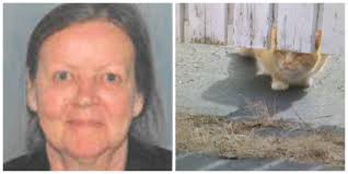 Mansfield woman missing after fight with neighbors over cats