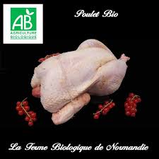 Poulet Fermier Bio Poulet Fermier Poulet Poulet Bio