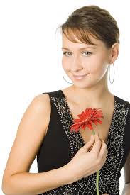 4,831 Gerbera Rojo En Fondo Negro Fotos de stock
