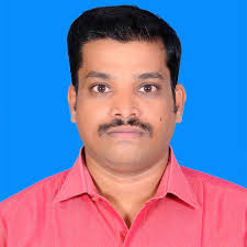 How can I calculate Bt protein concentration in Brinjal ?