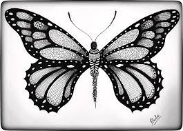 3d flying blue butterfly tattoo on siderib. Realistic Butterfly Drawing By Prachi Gupta