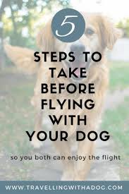 5 Steps To Take Before Flying With Your Dog Travelling With A Dog Flying With Pets Dog Travel Flying Dog