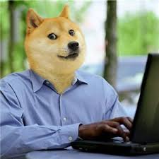 Doge on the computer | Doge | Know Your Meme