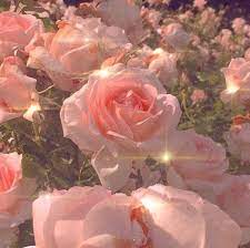 Find over 100+ of the best free aesthetic flowers images. Positive Vibes And Pretty Aesthetics Flowers For My Beloved