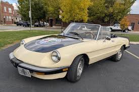 Image result for Ivory 1985 Alfa-Romeo