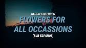 Cool company habit blood cultures remix official audio. Blood Cultures Flowers For All Occasions Lyrics Lyric Video Youtube