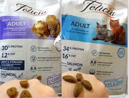 Sevdaninzillisi Kozmetik Blogu Felicia Kedi Mamasi