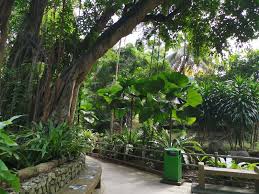 It's listed in education category of google play store, getting more than 10 installs, overall rating is 4.0 (base on 2 reviews). Taman Tasik Perdana Kl