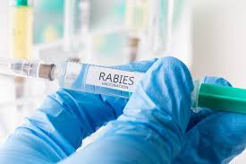 1 day ago · rabies vaccine for humans market research is an intelligence report with meticulous efforts undertaken to study the right and valuable information. What To Do After Accidental Double Dose Of Rabies Vaccine Public Health
