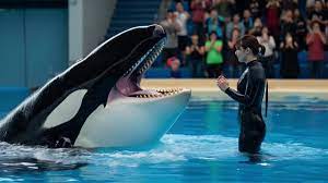 Shocking Jessica Orca Attack Footage Revealed | TikTok