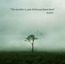 Check spelling or type a new query. 135 Clever Buddha Quotes Really Worth To Read Bayart