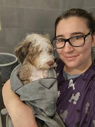 Small dog grooming specialist in area?