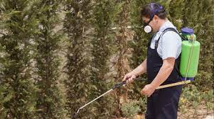 Finally, a professional pest control company will do all of the cleanups for you. Pest Control Hamilton Exterminator 647 559 1740 100 Guaranteed
