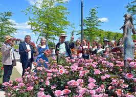 Am Pfingstsamstag Wurde Unsere Neu Gezuchtete Rose Kathchen Von Heilbronn Vorgestellt Exklusiv Nur Bei Pflanzen Kolle Nicht Nur In 2020 Plants Instagram Grapes