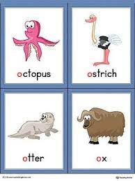 Preschoolers might not yet be ready to spell or read sentences, but they can benefit from learning to recognize simple words that connect to concrete objects or ideas they're exposed to on a regular basis. Letter O Words And Pictures Printable Cards Octopus Ostrich Otter Ox Color Vocabulary Picture Cards Alphabet Word Wall Cards Vocabulary Flash Cards