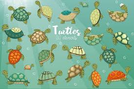 Cute Turtles Turtle Art Turtle Drawing Turtle Decor