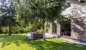Remember to plant it at least 25 feet from your house.as the tree gets bigger, branches and roots will have room to grow without interfering with you home. Benefits Of Trees In Your Landscape Royal City Nursery