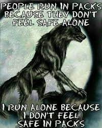 Pin By Tristan Towers On Miscellaneous And Memes Warrior Quotes Wolf Quotes Lone Wolf Quotes