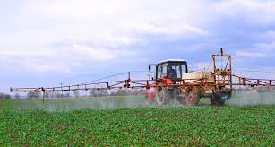 The type of weeds you're dealing these work best on weeds that are up and growing and when applied after a rain or in the morning when moisture helps the granules stick to the grass blades. Unseasonable Rains Contribute To Weed Control Issues