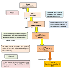 Flow Chart Of Study Design Of Csi G Download Scientific