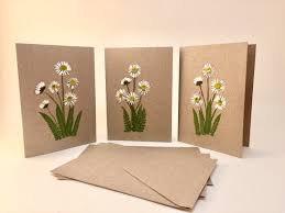 Here's how to make greeting cards out of flowers spend some time arranging the pressed flowers on the surface of your card until you have a pleasing arrangement. Pressed Flower Cards Set Of 3 Greeting Cards Handmade Item Etsy Flower Cards Handmade Pressed Flowers Diy Flower Cards