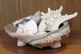 Check spelling or type a new query. Abalone Shell Centerpiece Sea Treasure By Patrice