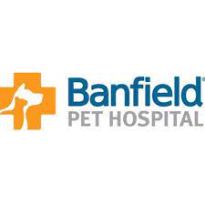 Across our 1,000+ hospitals in the u.s. Veterinarian 40 000 Sign On Banfield Washington Dc Usa Furwork