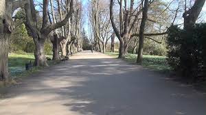 Im botanischen garten in dortmund steht die erste blüte der dort prächtig gedeihenden titanwurz kurz bevor. Botanischer Garten Rombergpark Picture Of Botanical Garden Rombergpark Dortmund Tripadvisor