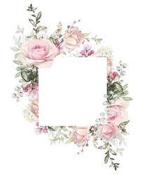 500 frames floral ideas in 2020 floral frame borders and frames floral ideas in 2020 floral frame