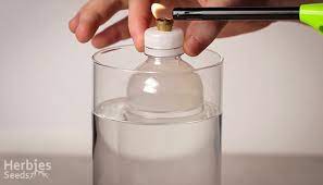 Gravity bongs aka waterfall bongs are one of my favorite diy homemade bongs to makeas a weedtuber. Wie Man Eine Schwerkraftbong Macht Zwei Gleich Einfache Wege Herbies Seeds
