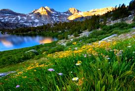 Spring Mountain Landscape Images