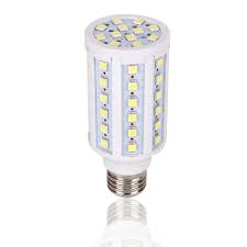 Medium Base Edison Screw Dc Led Light Bulb 12 Volt 24 Volt Path Lamp 12vmonster Lighting And More
