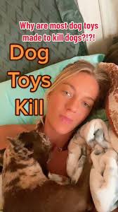 Avoid Dangerous Dog Toys: Protect Your Pet from Harmful Materials