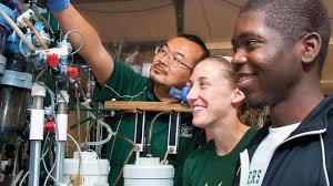 Engineering is Everywhere