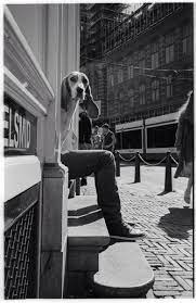 Des photos en noir et blanc pour tous les goûts anciennes et d'autrefois, des photographies d'époque à visualiser et leur histoire toutes catégories confondues. Je T Attendrai Sur Le Perron Bretzel Liquide Humour Noir Et Photos Etranges