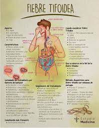Pin En Medicine