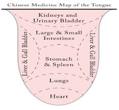 Tongue Diagnosis Holly Leever Wellness