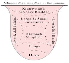 Tongue Diagnosis Holly Leever Wellness