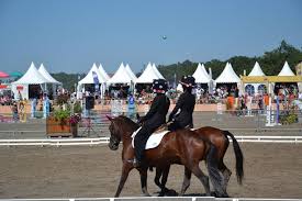 129,354 likes · 188 talking about this · 221 were here. Annulation Du Generali Open De France Poneys Et Clubs 2020 A Lamotte Beuvron Lamotte Beuvron 41600