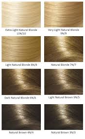 Argan Oil Hair Color 4ch Lajoshrich Com