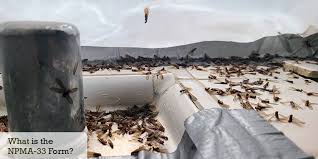 Request your free inspection request inspection or call to schedule your free. What Is The Npma 33 Form Gc Termite Control Articles