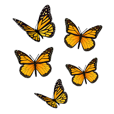 Yellow Butterfly Pack Sticker By Jadydesigns In 2021 Yellow Butterfly Butterfly Wallpaper Iphone Butterfly Background