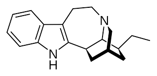 Image result for Tabernaemontana eglandulosa